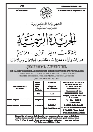 Cour Constitutionnelle et représentation légale, réglementations ministérielles, et formation du CNESE